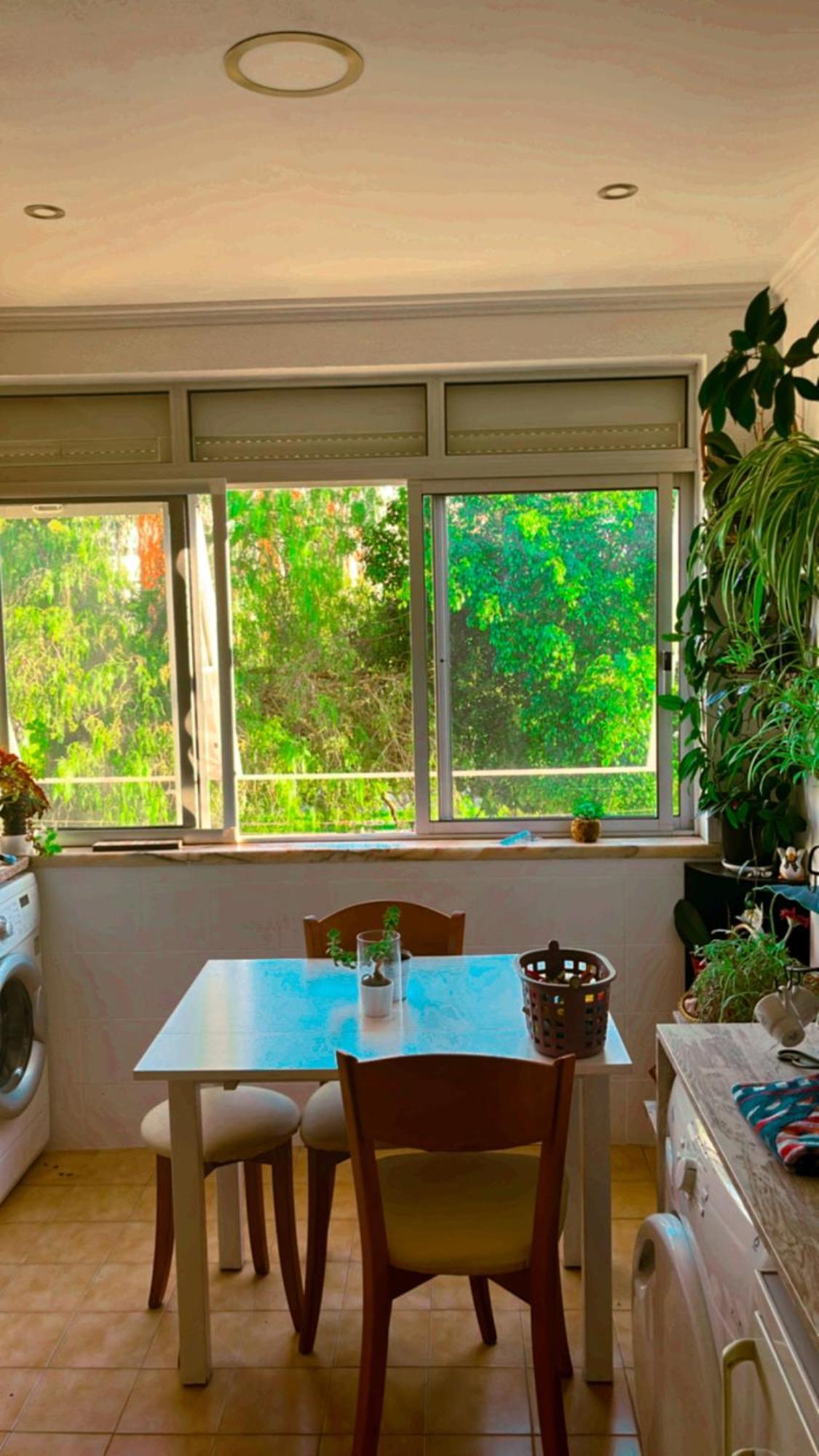 Apartamento Com Boa Luz E Localização Em Lisboa. Apartamento